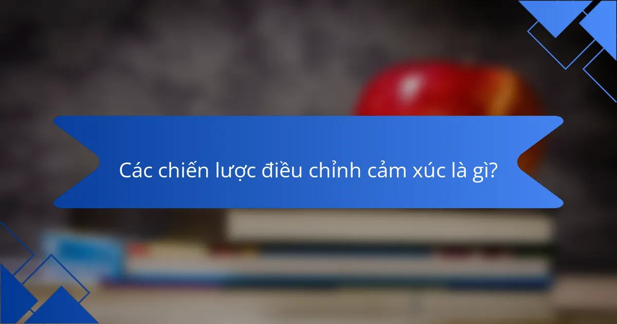 Các chiến lược điều chỉnh cảm xúc là gì?