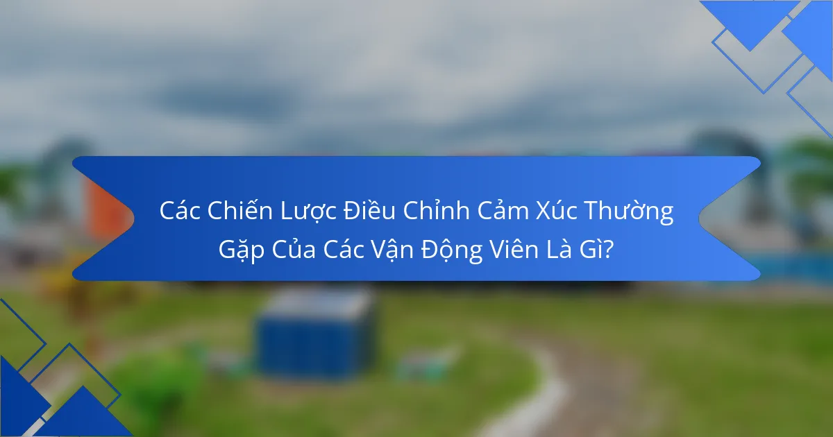 Các Chiến Lược Điều Chỉnh Cảm Xúc Thường Gặp Của Các Vận Động Viên Là Gì?