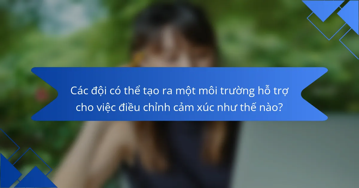 Các đội có thể tạo ra một môi trường hỗ trợ cho việc điều chỉnh cảm xúc như thế nào?