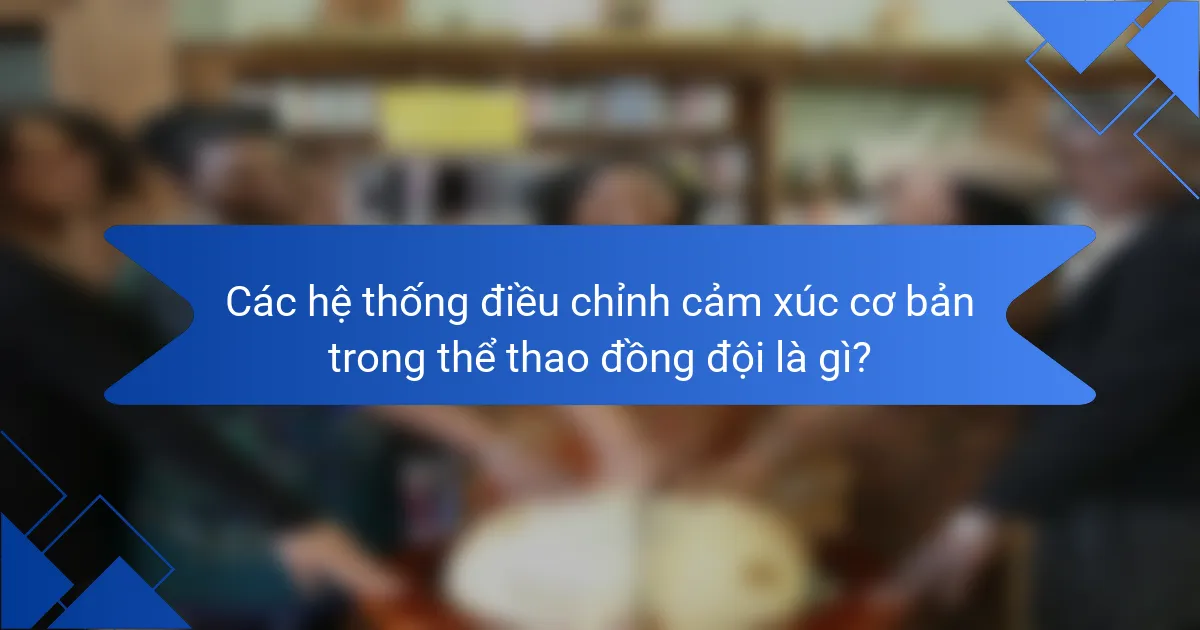 Các hệ thống điều chỉnh cảm xúc cơ bản trong thể thao đồng đội là gì?