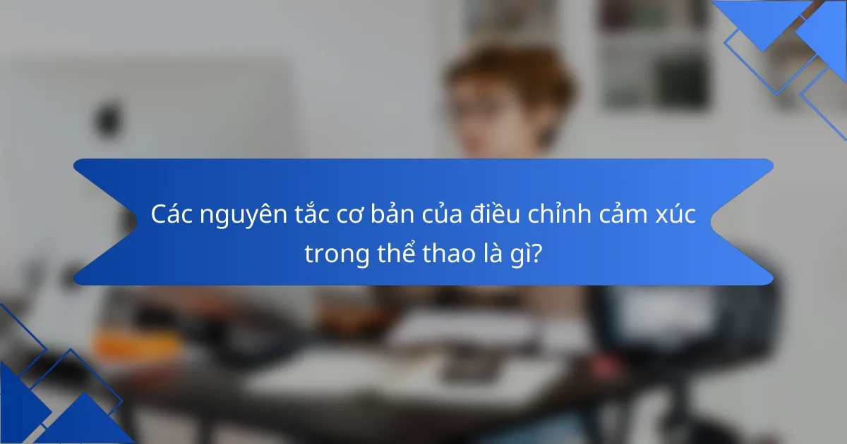 Các nguyên tắc cơ bản của điều chỉnh cảm xúc trong thể thao là gì?