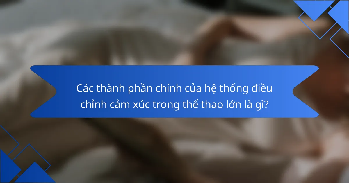 Các thành phần chính của hệ thống điều chỉnh cảm xúc trong thể thao lớn là gì?