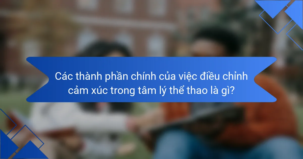 Các thành phần chính của việc điều chỉnh cảm xúc trong tâm lý thể thao là gì?