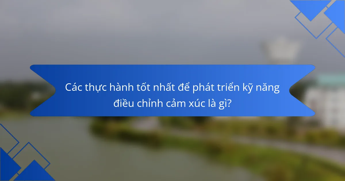 Các thực hành tốt nhất để phát triển kỹ năng điều chỉnh cảm xúc là gì?